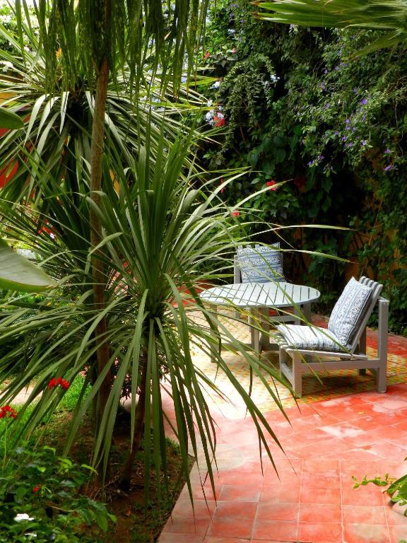 Dar Beldi Bed & Breakfast Oualidia Rom bilde