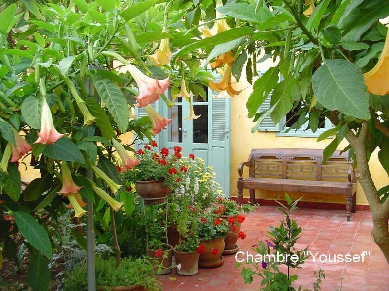 Dar Beldi Bed & Breakfast Oualidia Rom bilde